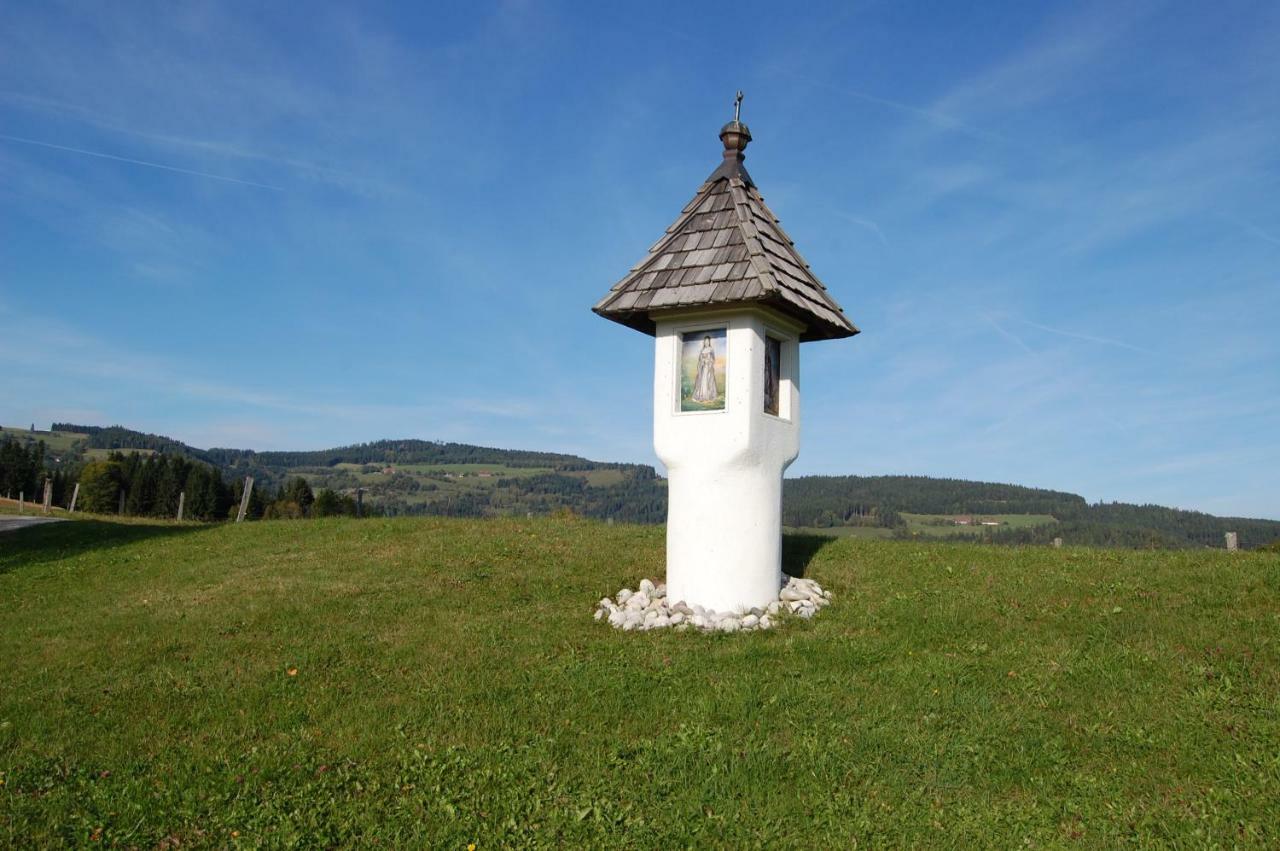 Апартаменти Urlaub Am Zechnerhof Strassburg Екстер'єр фото